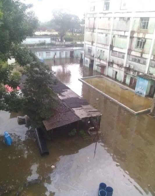 Unidos contra las arbovirosis